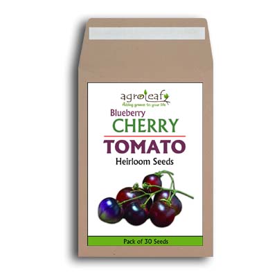 Heirloom Blueberry Cherry Tomato