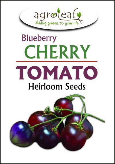 cherry tomato seeds