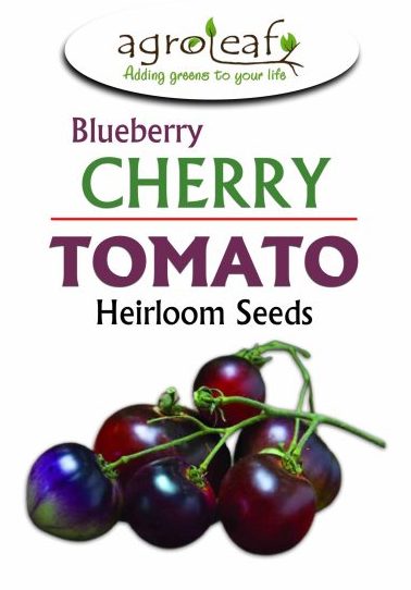 cherry tomato seeds