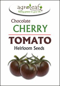 cherry tomato seeds