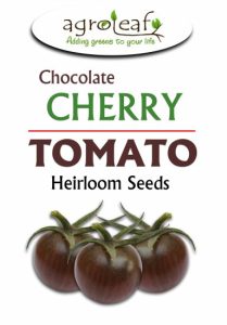 cherry tomato seeds