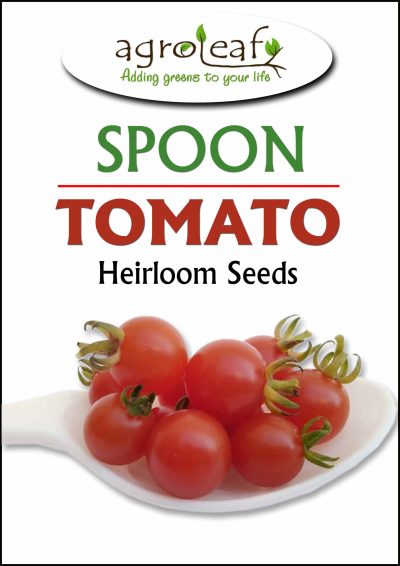 smallest tomato plant
