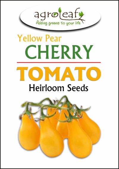 cherry tomato seeds