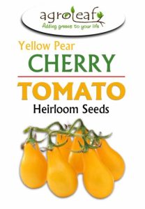 cherry tomato seeds
