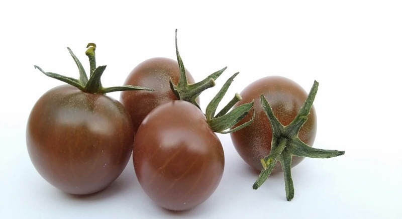 Chocolate cherry tomato
